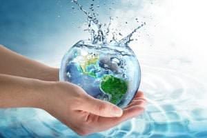 person holding globe of water
